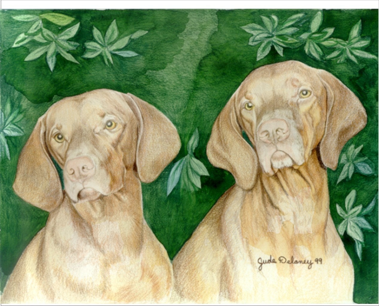 Vizsla Ladies Dog Art Mini Print by Jude Delaney
