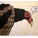 Shopping Cart - Turkey Vulture