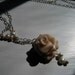 Long Peach Rose Lariat Necklace / GARDEN PARTY/ 060