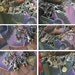 Harry Potter Hogwarts Witch Wizard Snitch Wand Charm Bracelet