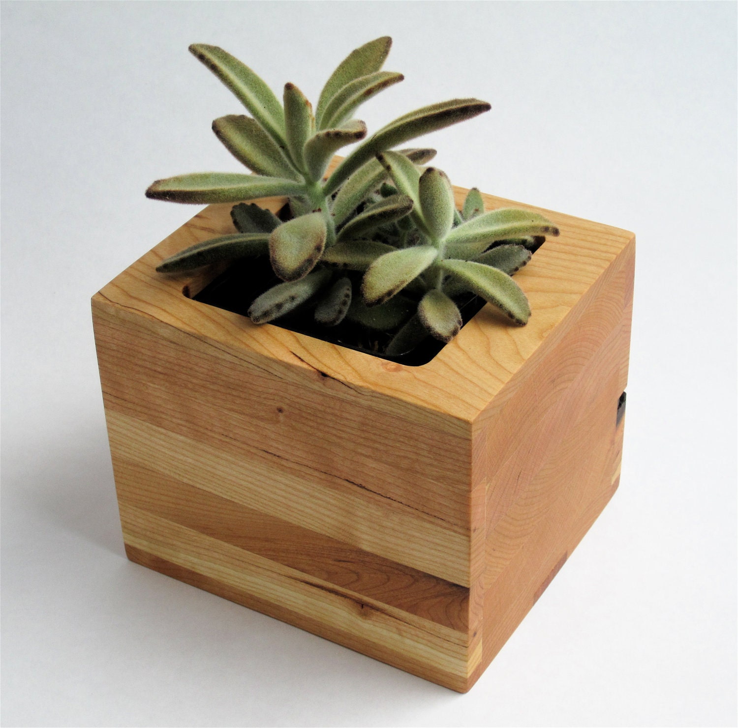 Box Succulent Planter in Cherry