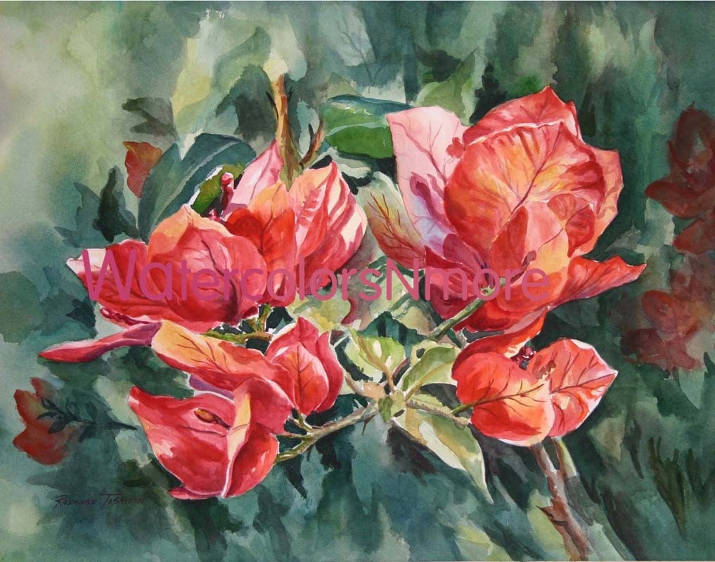 Bougainvilleas, Watercolor Print, 11 x 14,Tropical, Flower, Decorative art Home Decor, plant, red, green