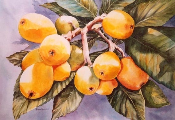 Loquats, Japanese Plumbs, 11 x 15, Watercolor, Print, Fruit, Home Decor, Decorative art, yellow, tropical