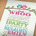 TWIN OWL Birthday Party Printable Invitation in Teal and Pink