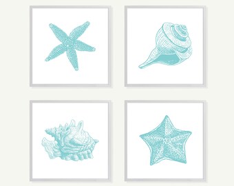 Turquoise Seaside Shells Art Print Set in Blue - Modern Home Decor Wall Art - Shabby Cottage - Natural History Ocean Beach Wall Decor