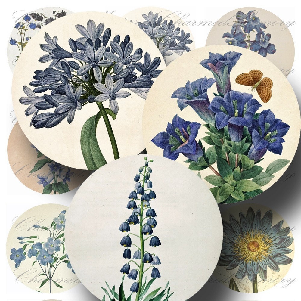Antique Botanical Blue Flowers (1) - Digital Collage Sheet - 2.5 Inch Round - Buy 3 sheets and get 4th FREE - Printable Download