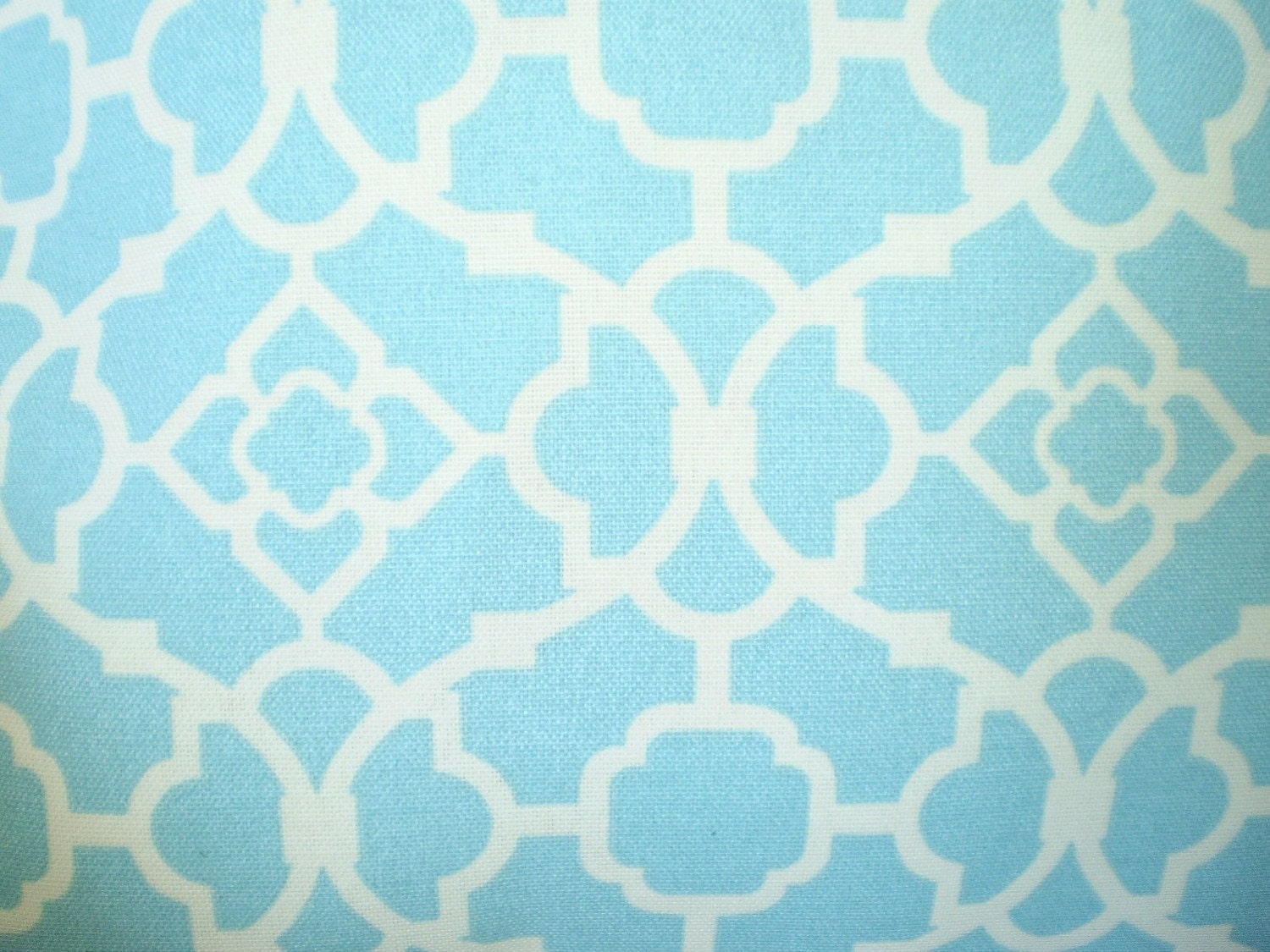 Accent Pillows As Featured In Good Housekeeping Magazine Pillow Cushion Cover Lovely Lattice Outdoor Aqua Cream BOTH SIDES - One 18 x 18