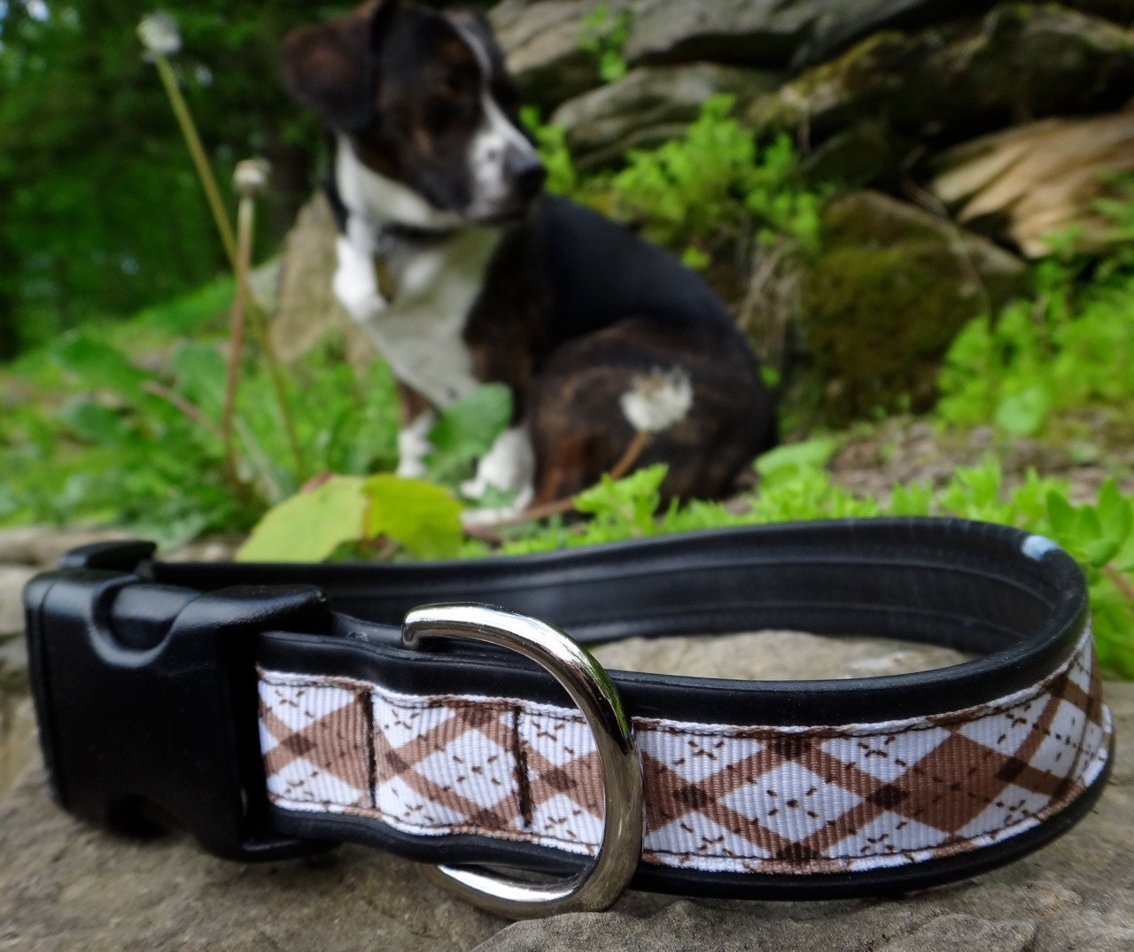 Dog Collar - Recycled Bike Tube