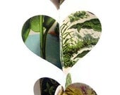 Flowers- Heart Garland Decoration-  Repurposed Vintage Field Guide to Flowers