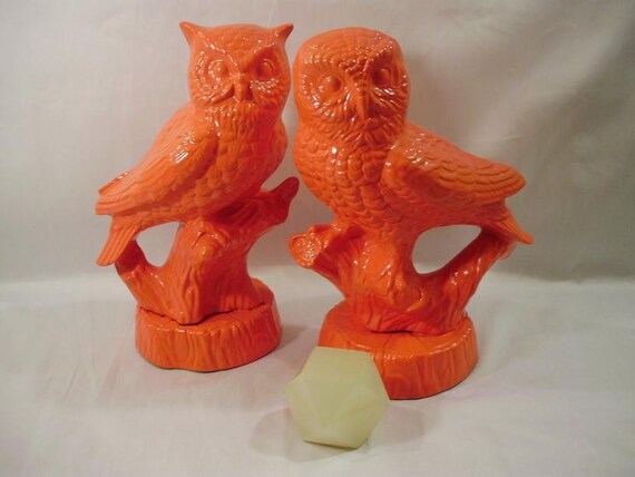 Orange Owls