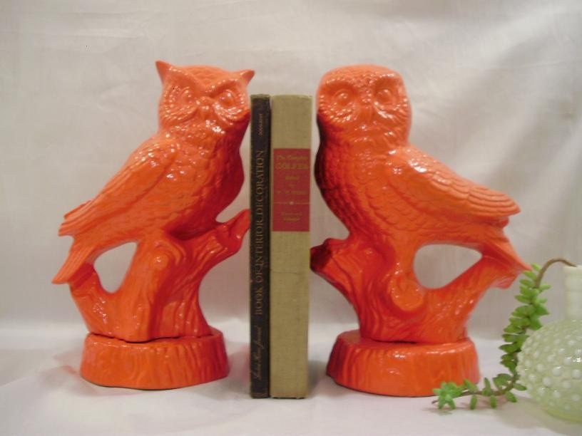 Orange Owls