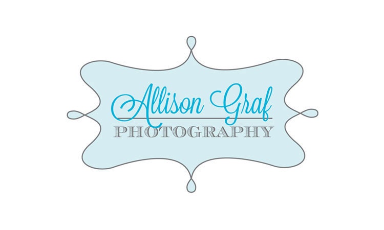 Premade Logo Design - Great for Photographers, Crafters, Small Businesses Il_170x135