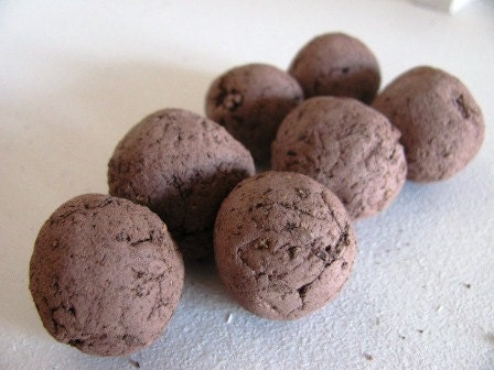 500 HERB clay seed bombs- your choice between Parsley, Dill, Chives, and Basil