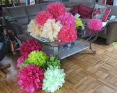 Pom Poms - Set of 20 Poms - Your Colors - For wedding, bridal shower, birthday party, baby shower, nursery, college dorm, child / teen Il_170x135