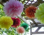 SALE ...... Set of 10 Poms - Your Color Choice