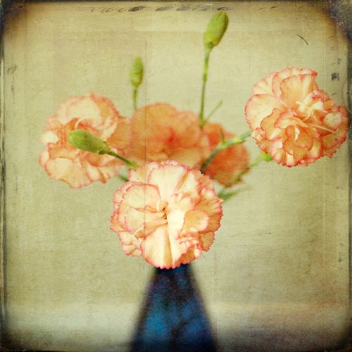 Bottled Pink Carnations Country Decor Photography 5x5