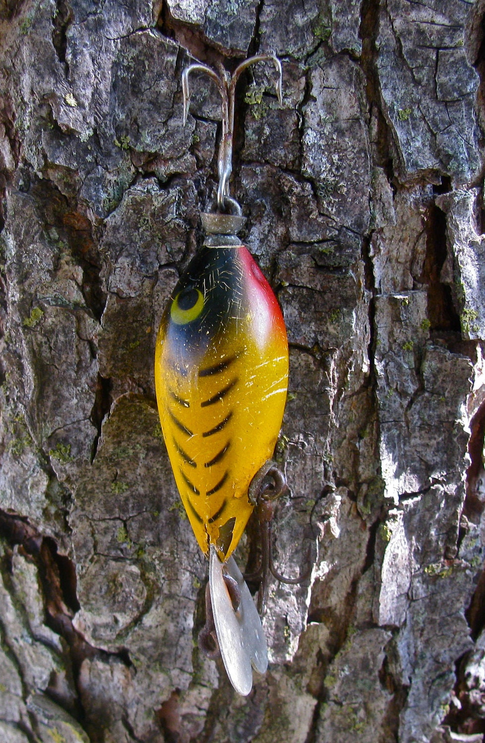 Old Whopper Stopper Fishing Lure