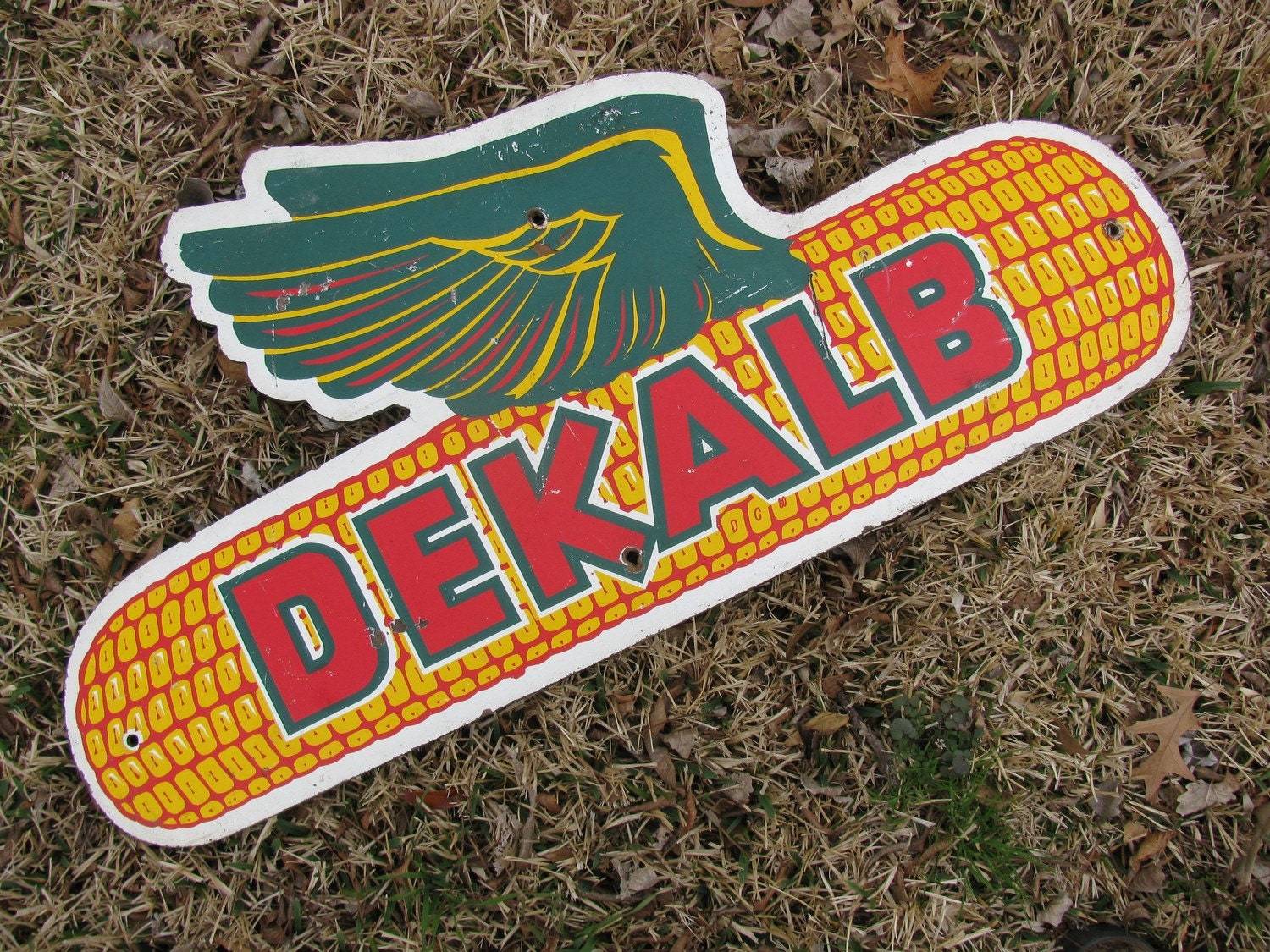 dekalb corn