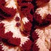 ON SALE, Hand crochet light coral and burgundy ruffle scarf.  Includes Shipping in the U.S.
