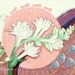Nursery decor floral drawing flower painting soft baby pink girl spring white fantasy child children kid peach coral animal cute cat blossom