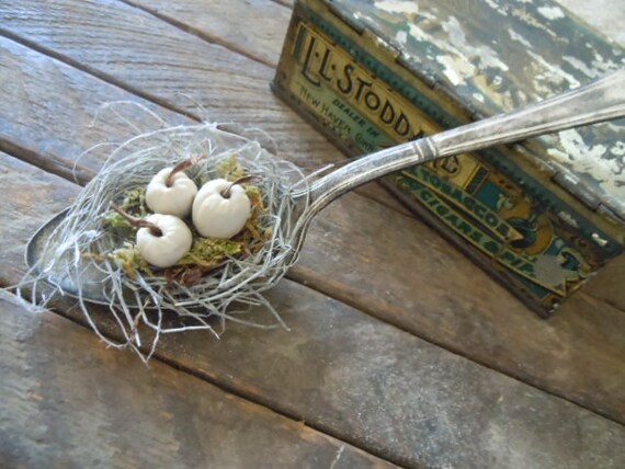 Romantic Rustic Autumn Ivory Pumpkins Farmhouse Silver Spoon