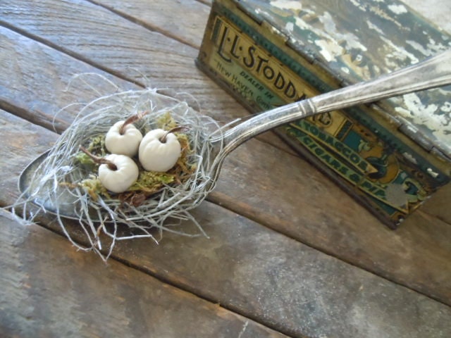 Romantic Rustic Autumn Ivory Pumpkins Farmhouse Silver Spoon