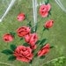 Sweet Chic Vintage Retro Clear Vinyl Parasol Umbrella With Pink Red Roses Way Chic