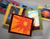 5x7 Framable Art Reproduction - Rise In Strength