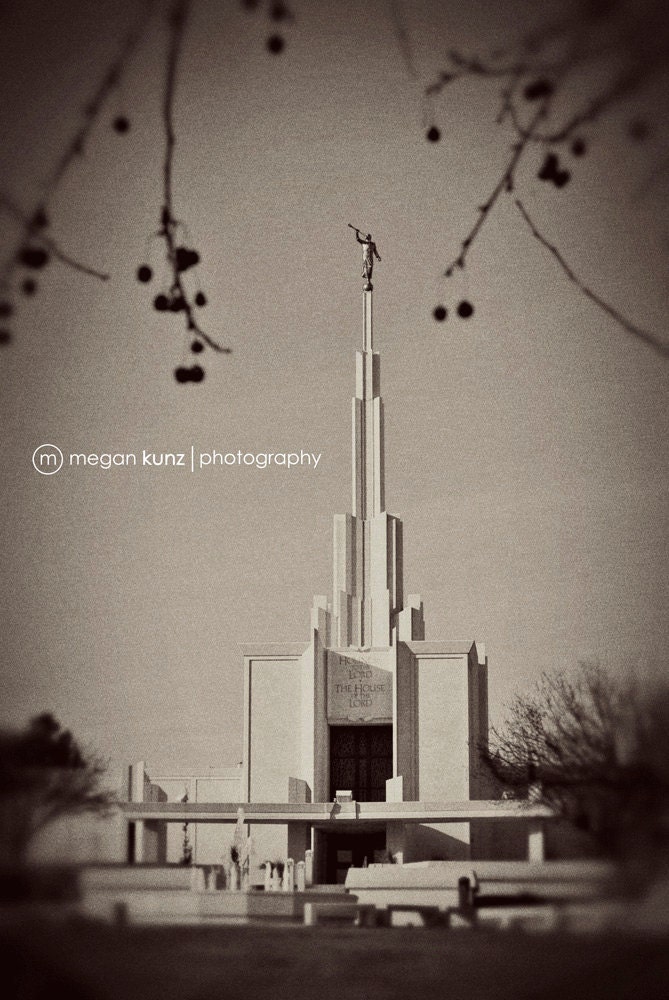 Winter Berries Denver Temple Portrait 16 x 20