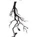 Vinyl Wall Sticker Decal Art - Tree Branch