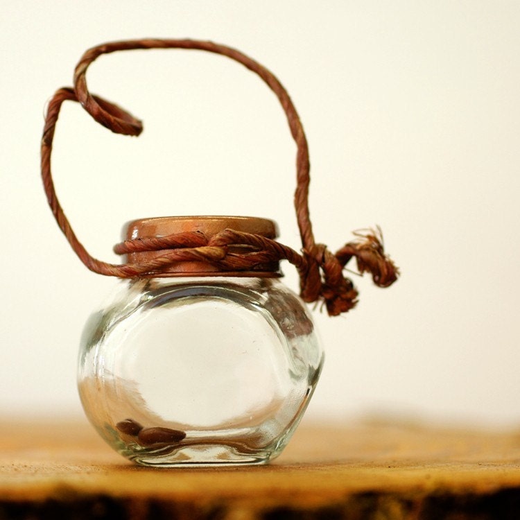 Tree Seeds in Decorative Antique Bottle