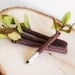 Wooden Guest Book Letter with Twig Style Pen - Any letter available- 250-400 signatures- rustic, woodland, personalized wedding