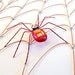 Copper Spider Web Autumn Large Handmade