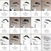 Plastic Mustaches on Sticks - Choose Your Own - Set of 4