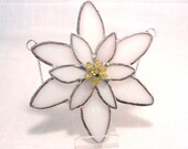 Edelweiss