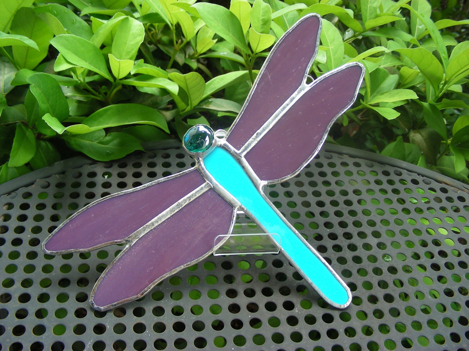 Blue & Purple Dragonfly