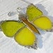 Yellow Victorian Butterfly