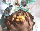 Cashew Turtle Caramel Apple W/Belgian Chocolate