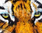 The eyes of The Tiger Approx. size 11.5 x 3 (LIMITED EDITION PRINT) - newartprints