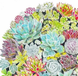 Succulent Garden Art Print 8x10 or 8x8 - Wall Decor, Kids Wall Art, Nursery Art