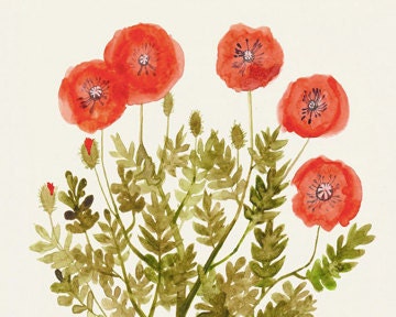 Watercolor Paintings