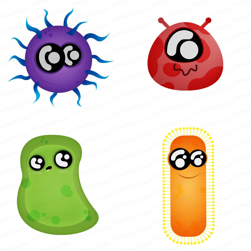 bacteria clip art