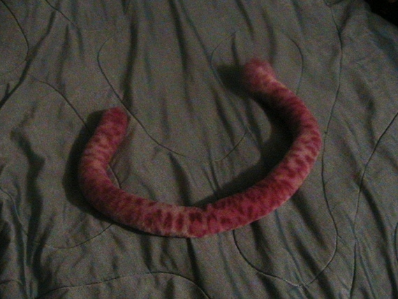 Pink Leopard Tail
