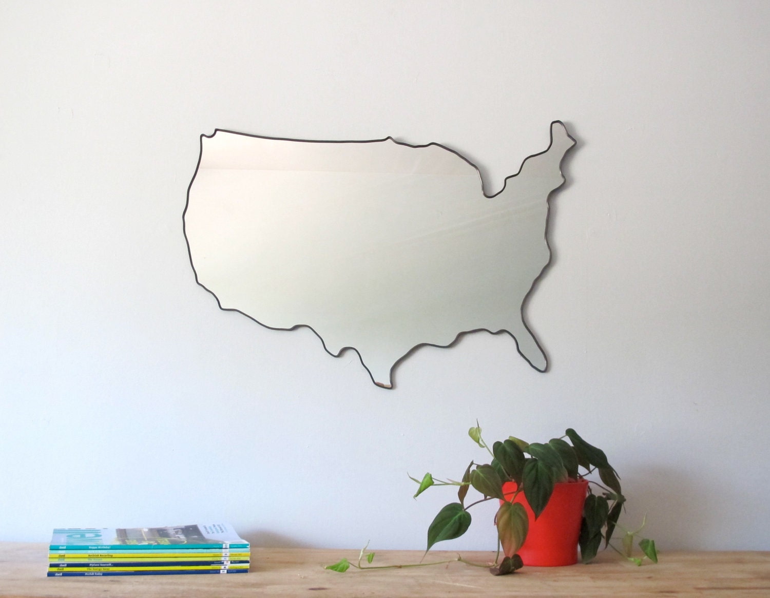 United States of America Mirror