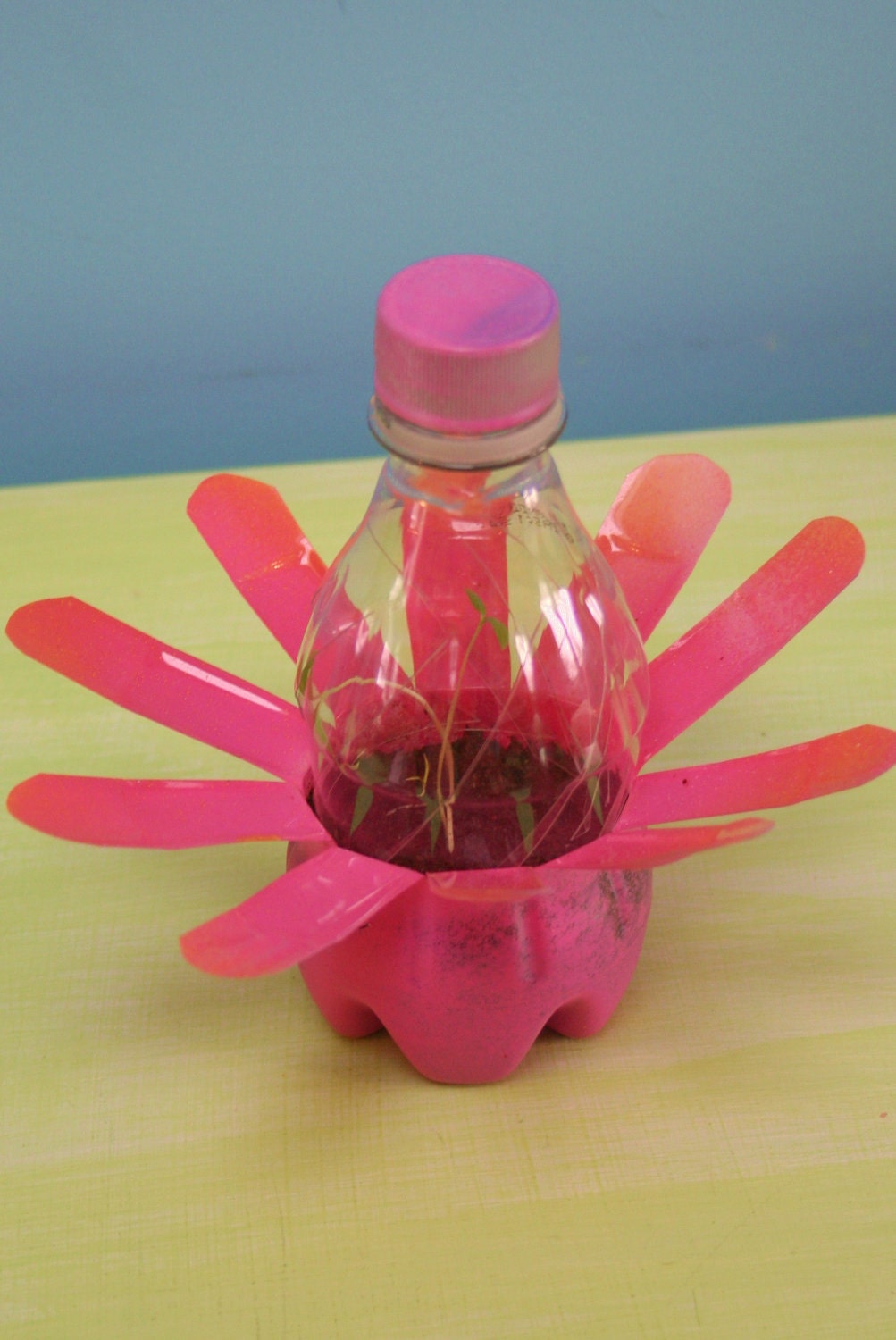 Upcycled Seedling Starter, Plastic bottle seed starter, plant start, Wedding Favor, Shower Favor