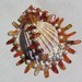 Carnelian & Apricot Freshwater Pearl Necklace - "Orange Zinnia"