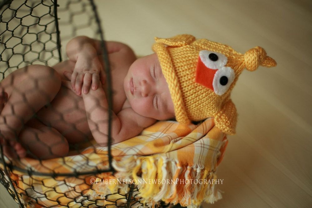 Baby Hat, Knit Chubby Bird Hat, Knitted Photo Prop,Great Twin/ Sibling Set, Custom Colors Avail, All Sizes Newborn, Toddler, Children, Adult