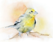 Goldfinch Bird Watercolor Giclee Print 11x14