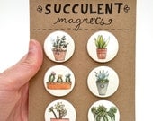 Succulent Magnets--Set of 6