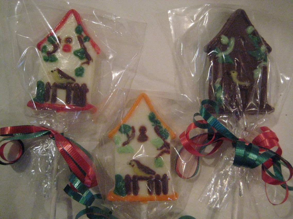 24-Chocolate Bird House Lollipops